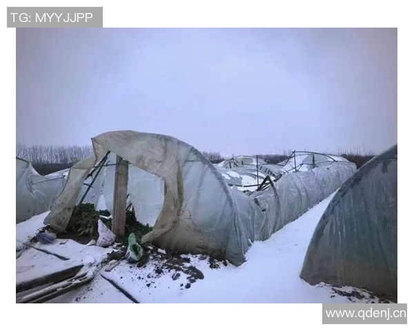 全球气候变化加剧极端天气事件频发 专家呼吁加强国际合作应对挑战